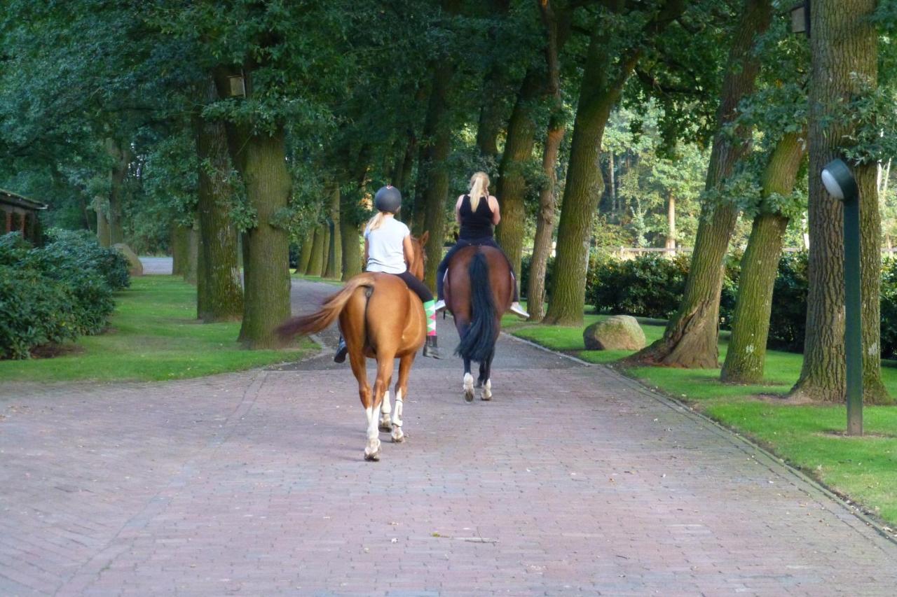 Grosse Ferienwohnung, Auf Bauernhof Mit Ponys Und Pferden, Laendlich Und Ruhig, Naehe Duemmer See Holdorf 外观 照片